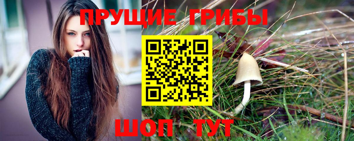 Псилоцибиновые грибы GOLDEN TEACHER  Вход с VPN  Галлюциногенные грибы мухоморы  Миасс 