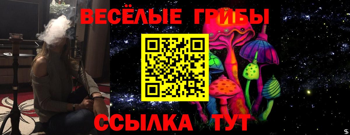 Псилоцибиновые грибы мухоморы Миасс